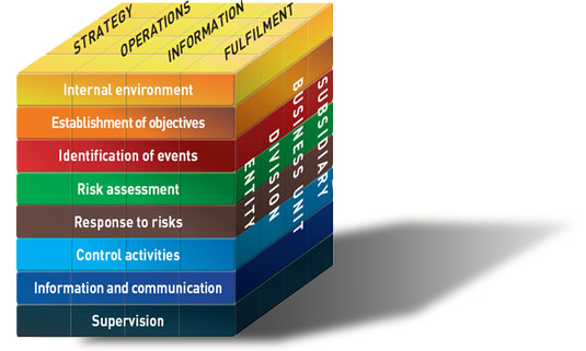 Enterprise risk management purpose