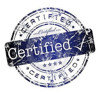 enterprise risk management certification and training courses