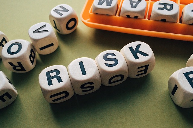 risk analysis spelt with kids blocks